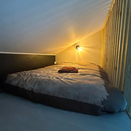 Bienvenue Chez Oslo Vakantiehuis Biscarrosse