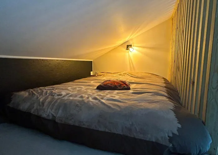 Bienvenue Chez Oslo Ferienhaus Biscarrosse